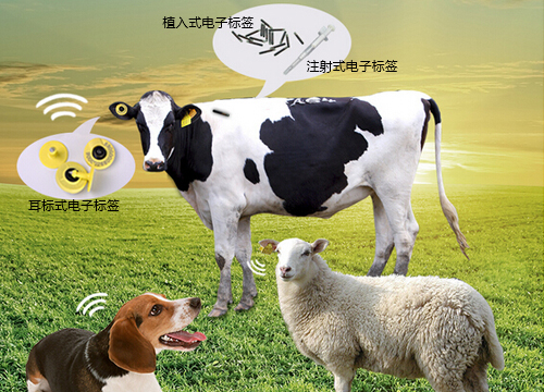 养殖户畜牧养殖管理解决方...